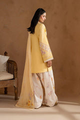 3 Pcs Embroidered MP006